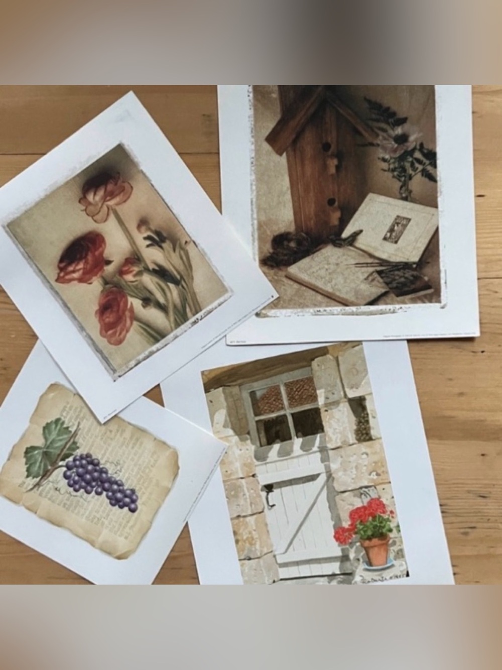 Wild Apple Graphics Artwork Prints